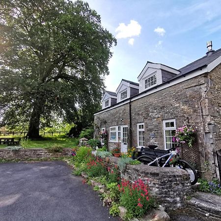 Swansea Valley Holiday Cottages Cilybebyll Exterior foto